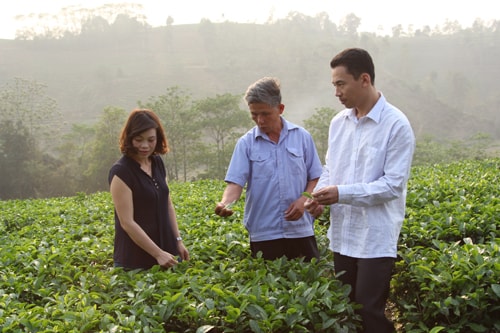 “Chìa khóa” xây dựng Nông thôn mới ở Mường Khương