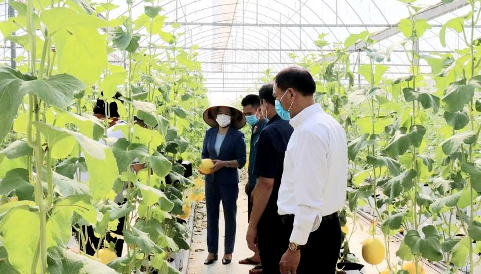 Nâng cao chất lượng sản phẩm nhờ phát triển mô hình nông nghiệp xanh  Viện  Khoa học Nông nghiệp Việt Nam