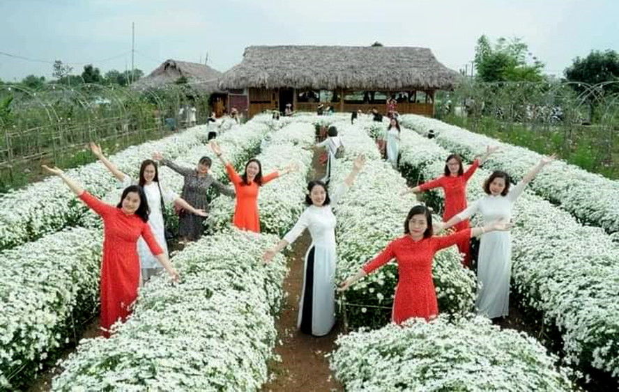 Viet Mekong Farmstay  Mô hình du lịch nông thôn Việt Nam