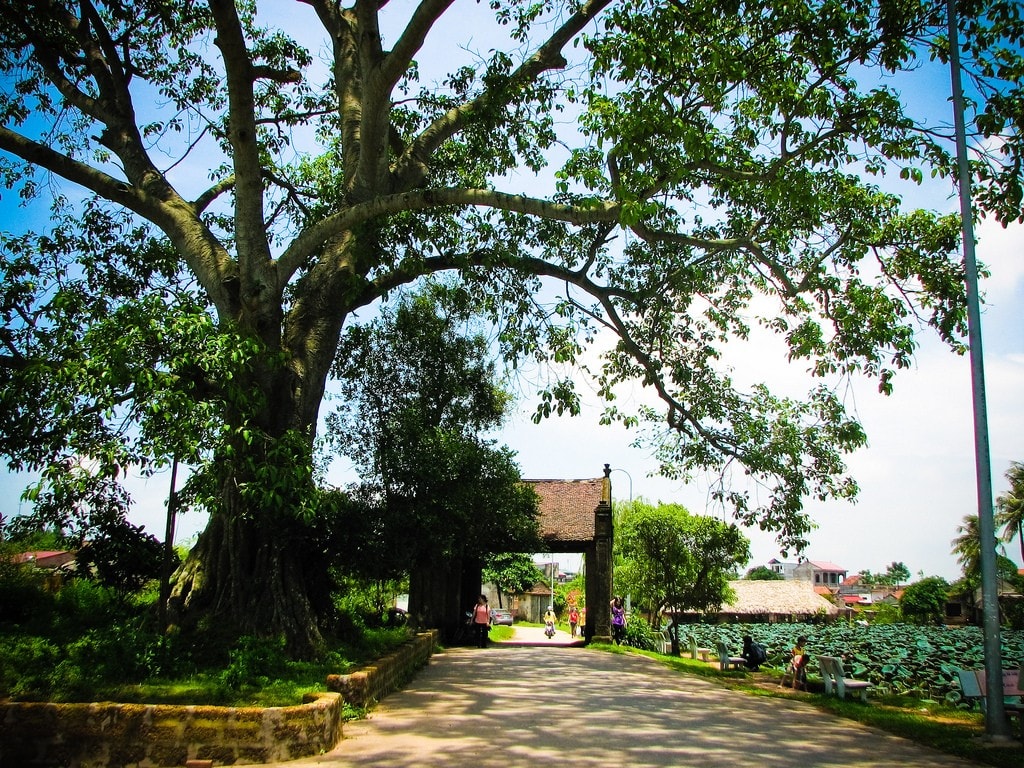 Vẻ đẹp cổ kính của làng cổ Đường Lâm