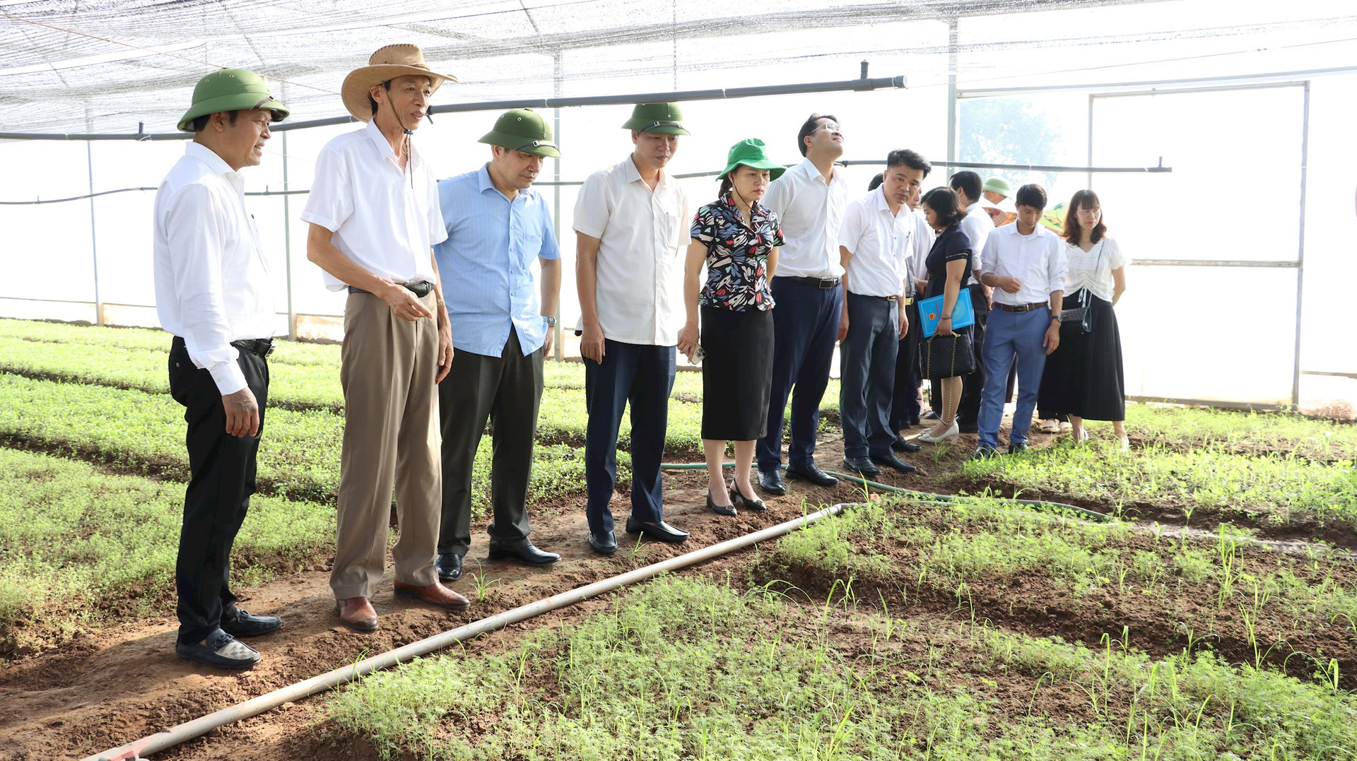 Bình Phước Từng bước chuyển đổi số trong sản xuất nông nghiệp