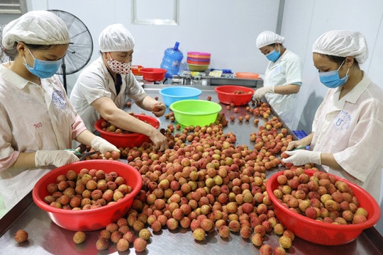 Định vị thương hiệu nông sản Việt