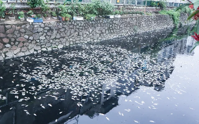 Nước trong hồ đen ngòm, bốc mùi hôi thối