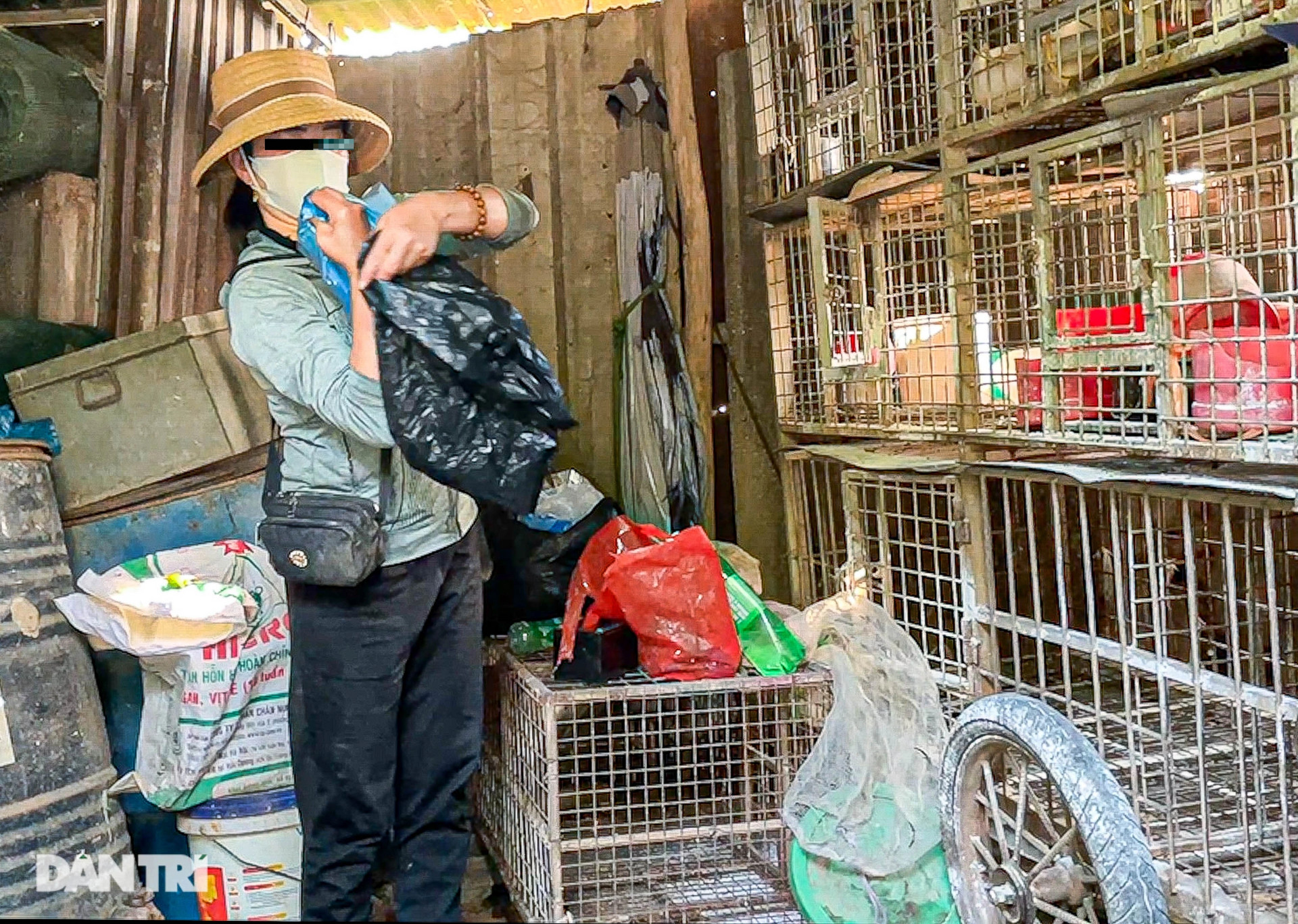 Cảnh buôn bán chim trời tấp nập né cơ quan chức năng ở Hà Nội - 7