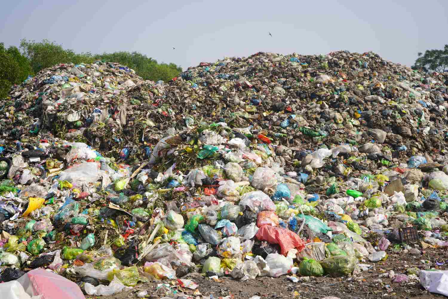 Bãi rác hoạt động từ năm 2014, tổng diện tích khu vực này là 1 ha. Đây là nơi tập kết và xử lý rác thải sinh hoạt của thị trấn Tiên Lãng và xã Kiến Thiết. 