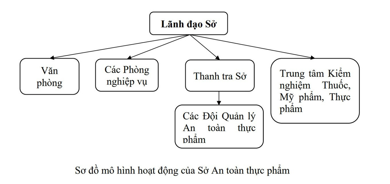 Sở An toàn thực phẩm đầu tiên của Việt Nam ra mắt - 3