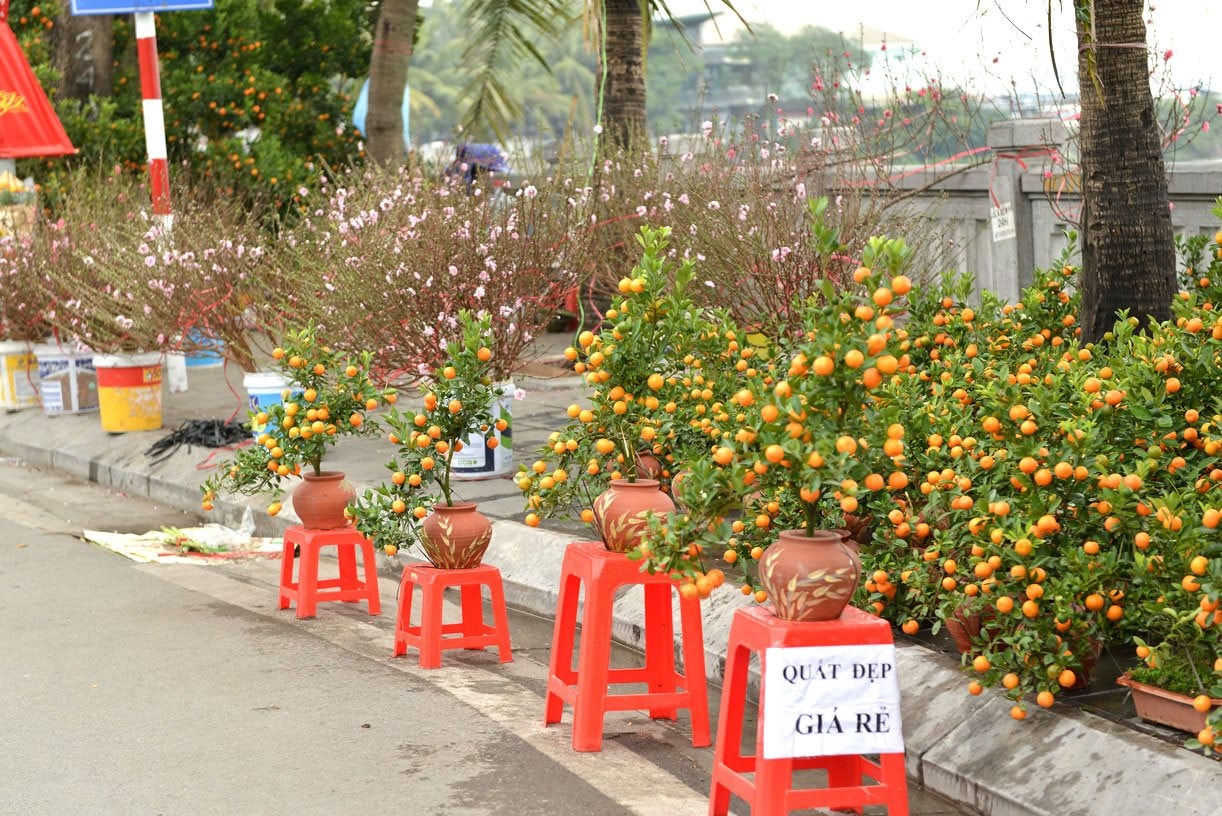 Hai cách ứng xử