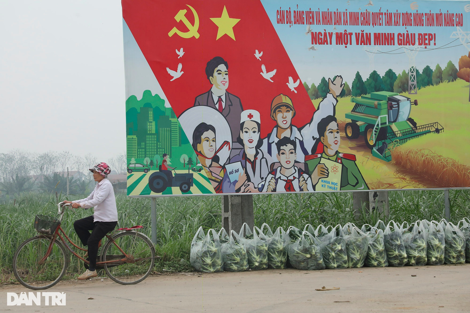 Sống chậm ở Minh Châu - xã đảo duy nhất của Hà Nội - 10