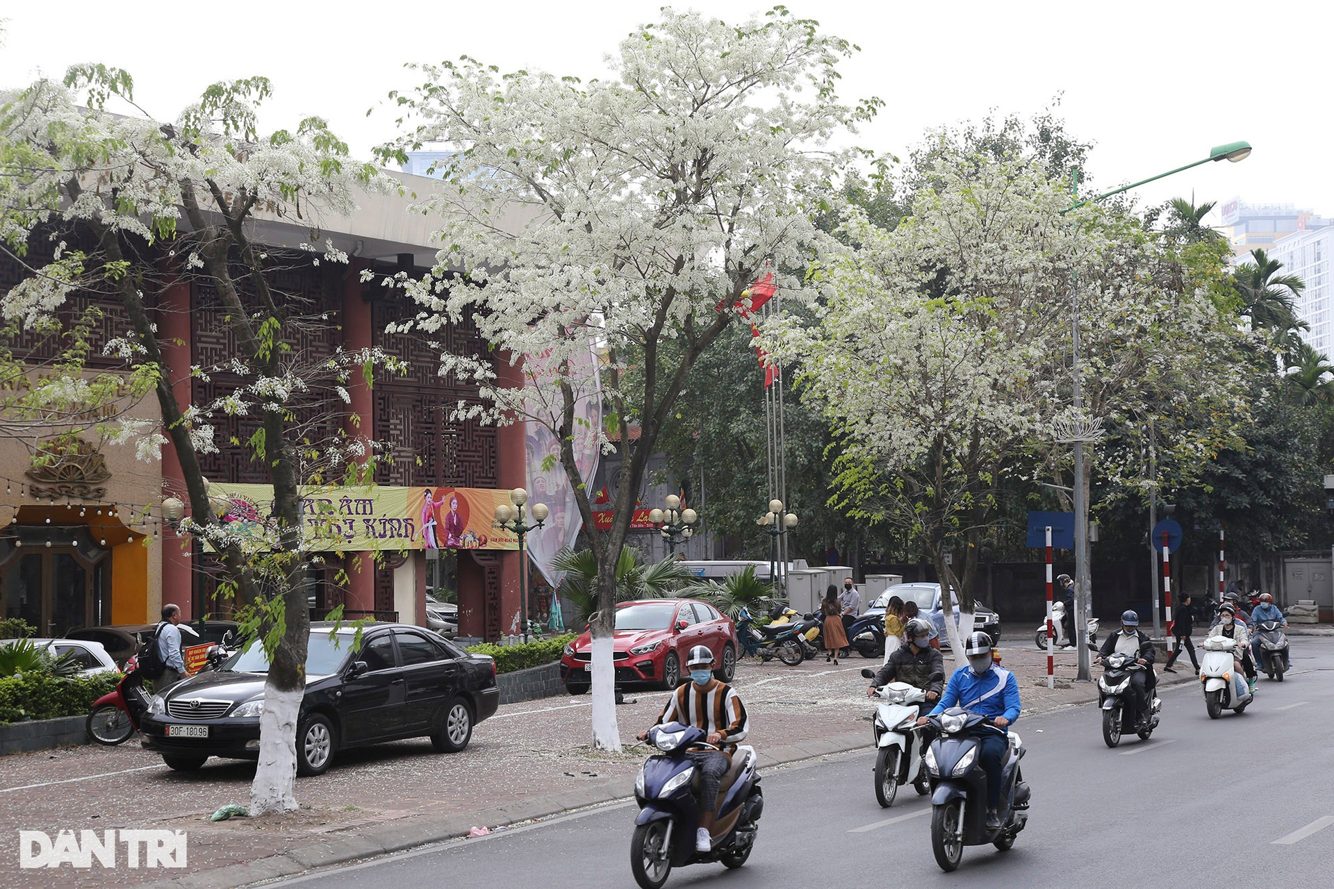 Hà Nội: Thành phố của những mùa hoa - 1