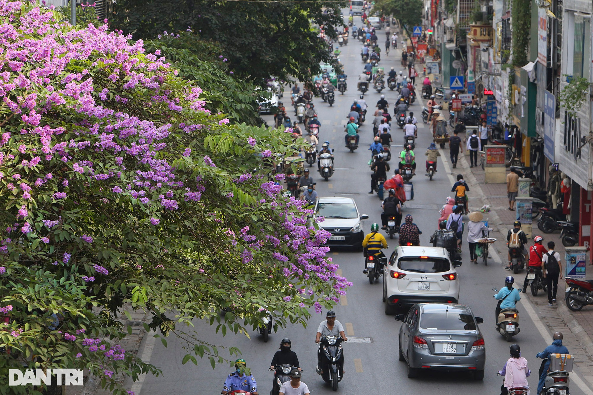 Hà Nội: Thành phố của những mùa hoa - 13