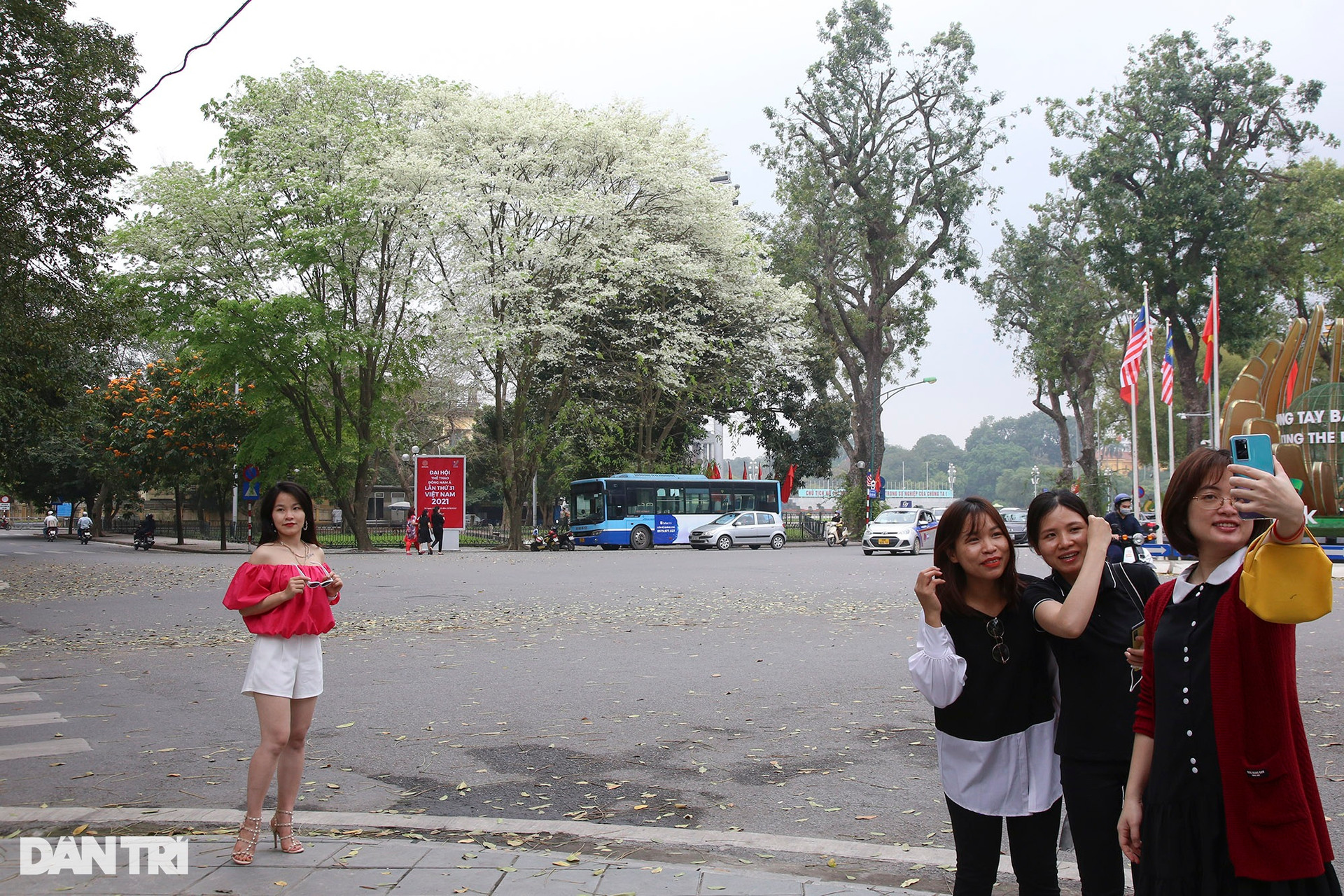 Hà Nội: Thành phố của những mùa hoa - 3