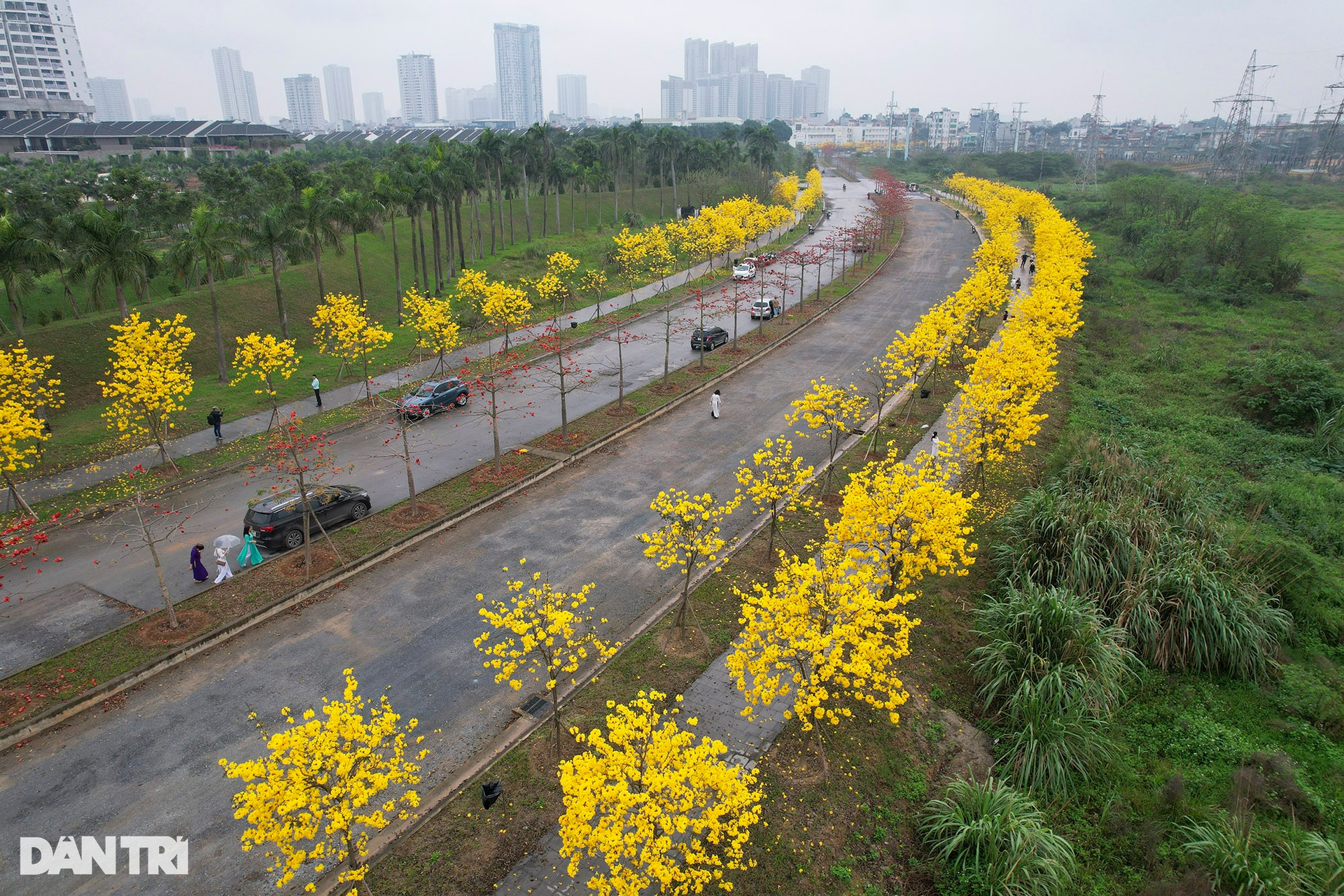 Hà Nội: Thành phố của những mùa hoa - 19