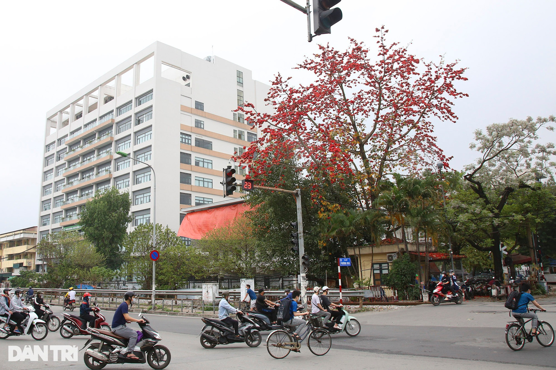 Hà Nội: Thành phố của những mùa hoa - 9