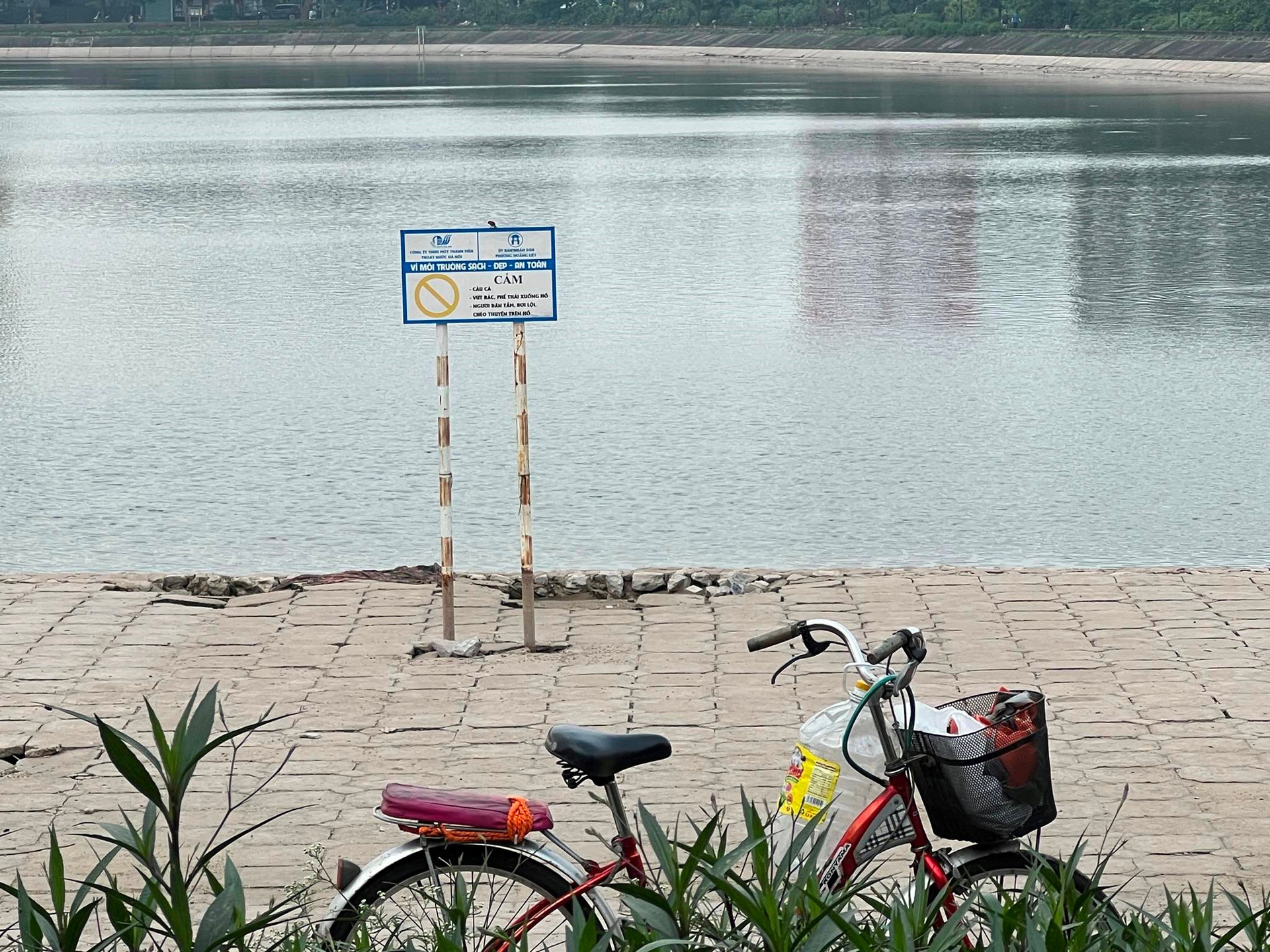 Cảnh báo cấm câu cá, cấm tắm trên hồ Linh Đàm. Ảnh: Chu Dũng.