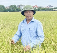 nghiem-van-nghi..jpg