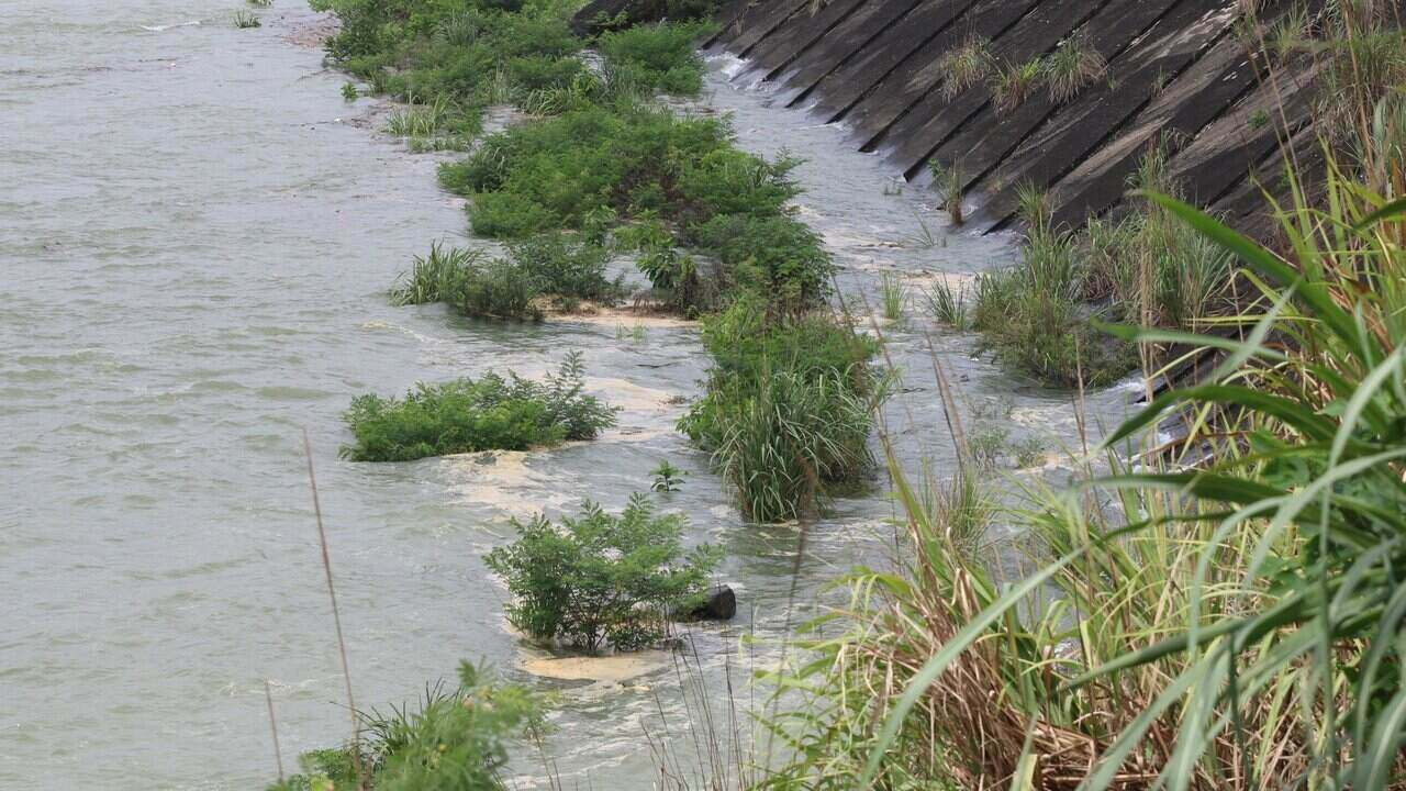 Tại thành phố Hòa Bình, nơi gần nhất với đập thủy điện, nước sông dâng lên rất nhanh, che phủ các hàng cỏ cây ven sông xanh tốt sau nhiều tháng không có nước lũ tràn qua. Ảnh: Minh Nguyễn.