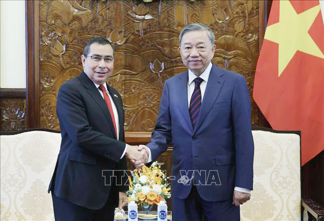 Chủ tịch nước Tô Lâm tiếp Đại sứ Panama Eligio Salas III. Ảnh: Nhan Sáng/TTXVN