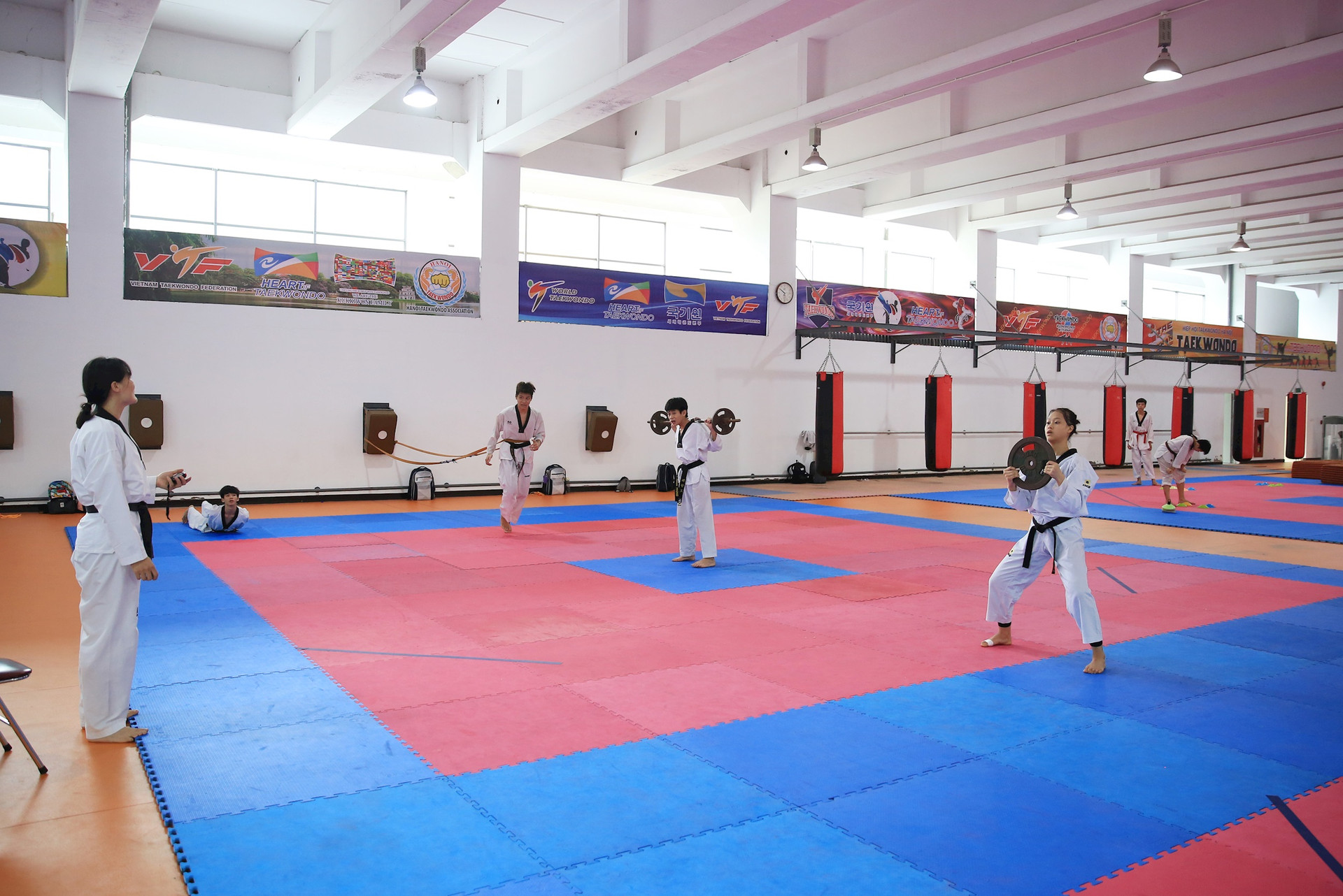 taekwondo-la-mot-trong-nhung-mon-duoc-nganh-the-thao-ha-noi-dau-tu-manh-trong-thoi-gian-toi-de-huong-den-san-choi-asiad-va-olympic.-anh-nguyen-quang.jpg