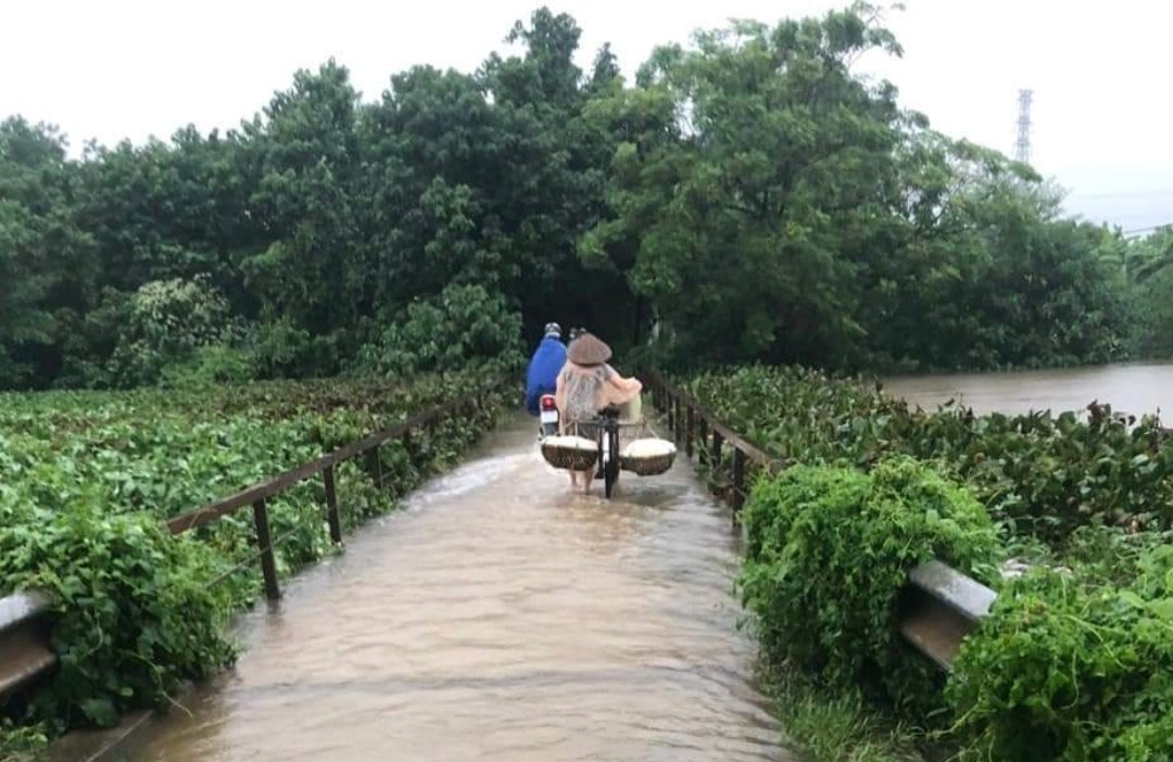 Quốc Oai: Hơn 1.350ha lúa mùa bị ngập úng, 5 điểm sạt lở đê điều