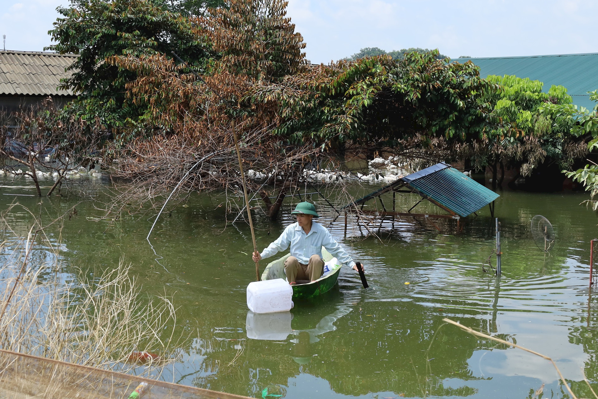 Ông Phùng Văn Lượng, ở thôn Nhân Lý (xã Nam Phương Tiến), kiểm tra khu vực chăn nuôi. Ảnh: Bảo Châu