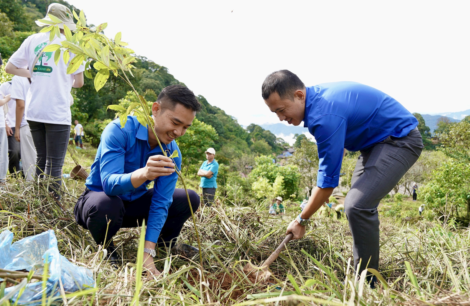 anh-2.-gop-la-va-rung-vi-mot-viet-nam-xanh-va-phat-trien-ben-vung-la-sang-kien-phuc-hoi-rung-cua-pan-nature-ket-hop-voi-momo-va-vietnam-airlines.jpg