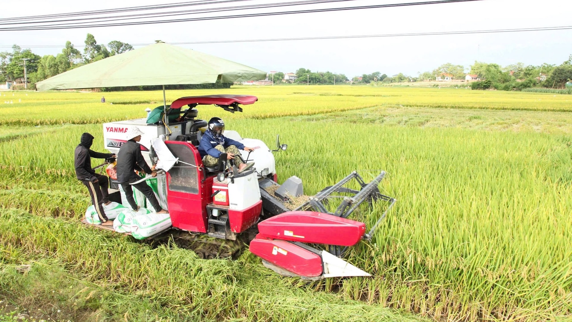 Miền quê Khu Cháy hôm nay. Ảnh: Bạch Thanh