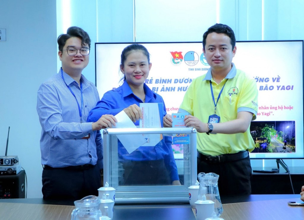 Thường trực Tỉnh đoàn tham gia đóng góp hỗ trợ
