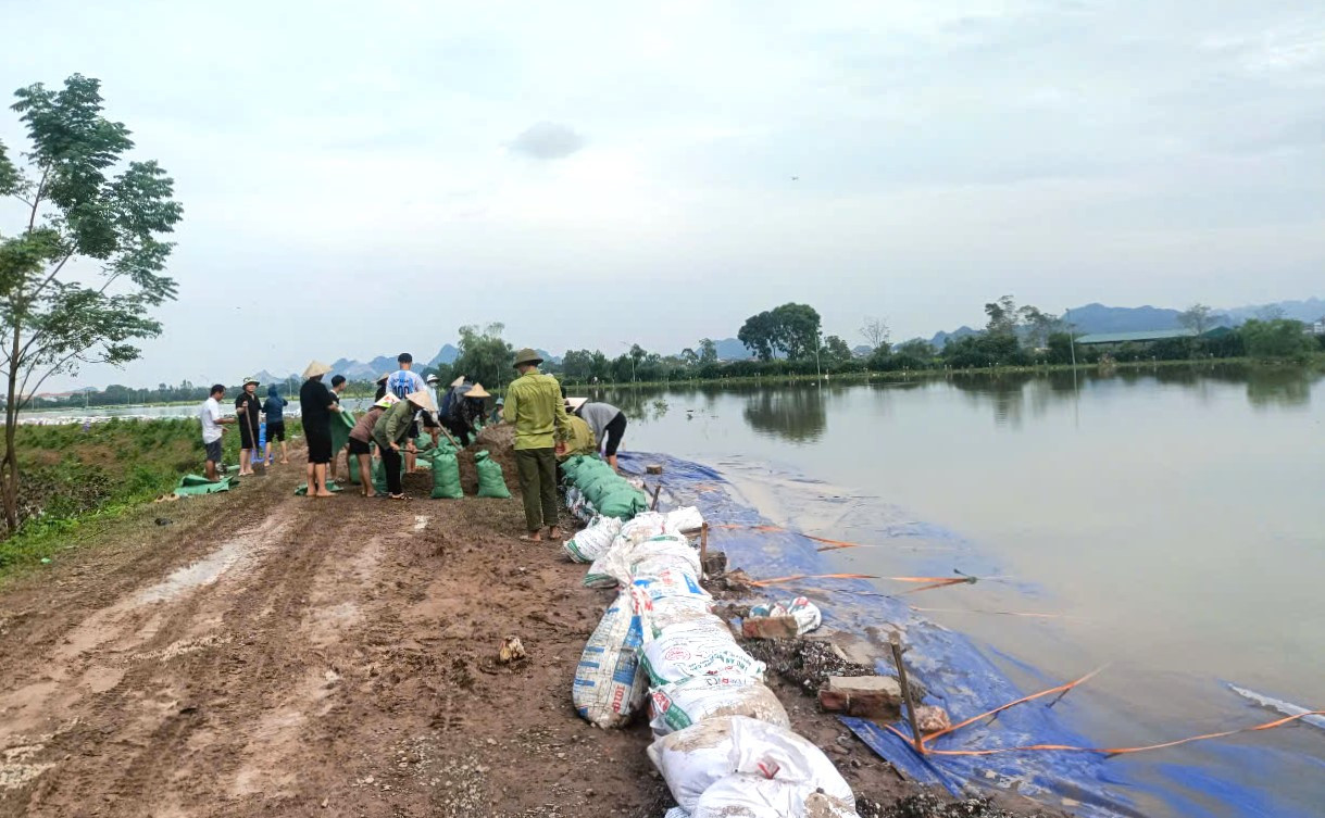 Các xã ven sông của huyện Mỹ Đức huy động lực lượng chống tràn đê Mỹ Hà. Ảnh Bảo Châu