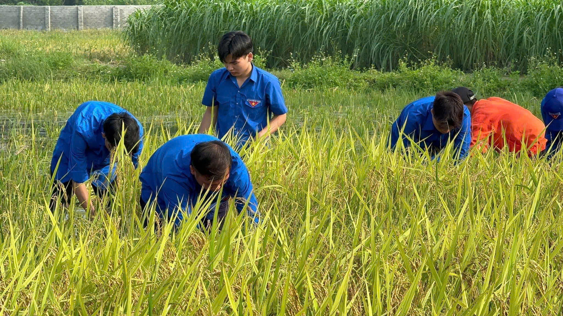 dh-cong-nghiep-viet-hung.jpg