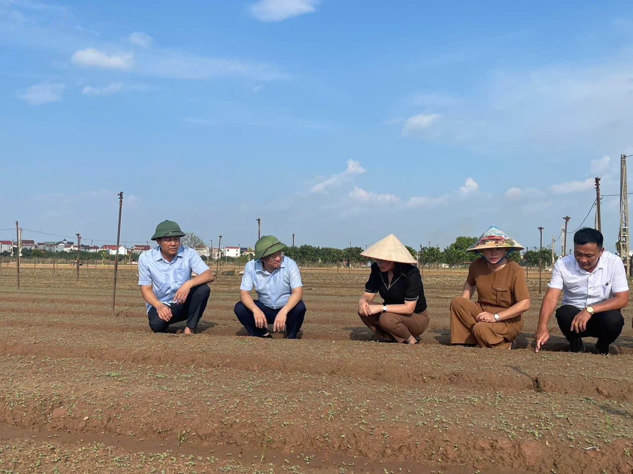 Đoàn công tác Sở NN&PTNT Hà Nội và lãnh đạo huyện Mê Linh kiểm tra công tác gieo trồng lại rau màu tại xã Tráng Việt (huyện Mê Linh). Ảnh: Quỳnh Dung.