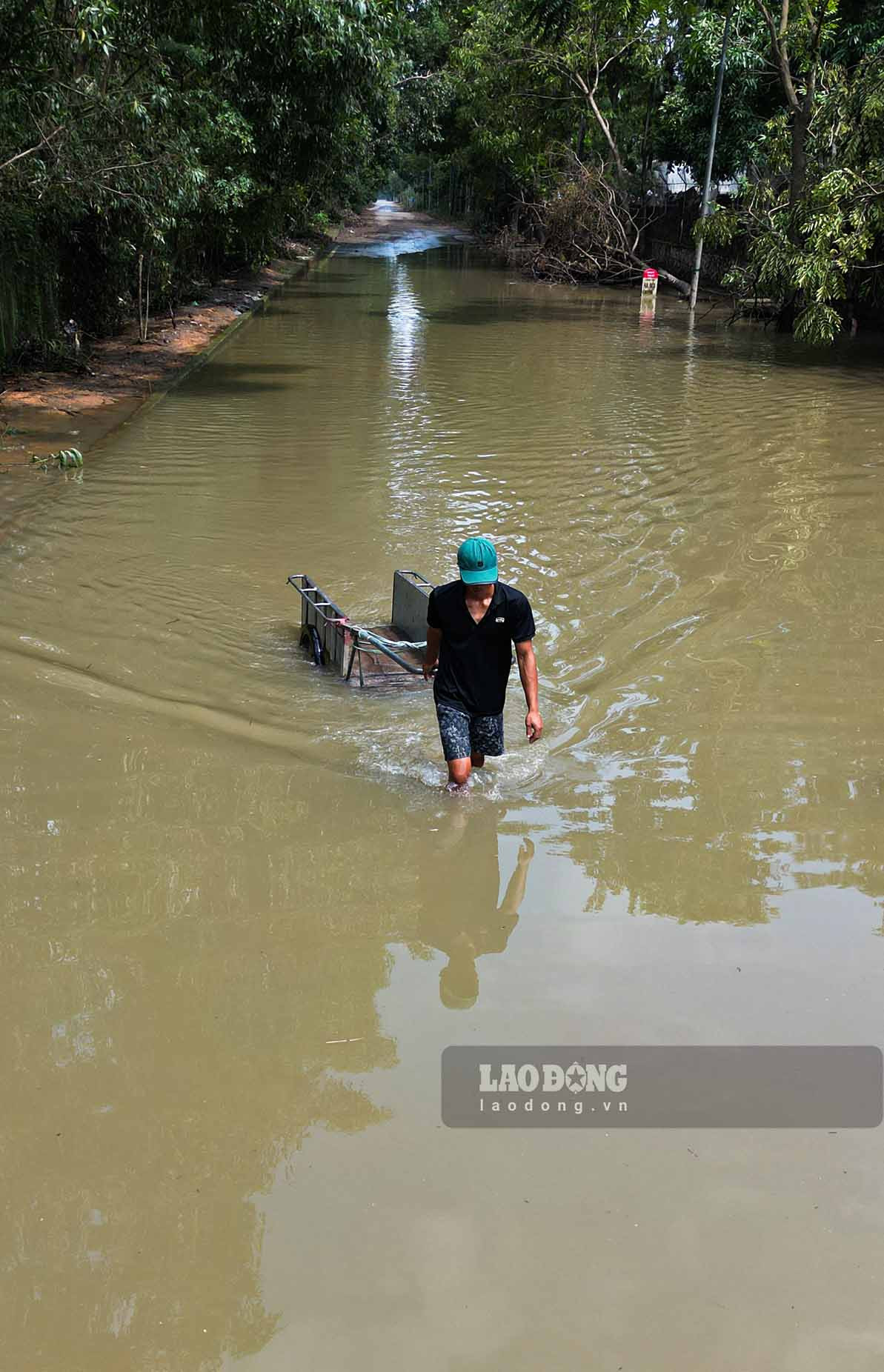 Ông Vũ Ngọc Quỳnh (trú tại Thạch Thất) than thở, dù mưa lớn đã ngớt, nhưng khu vực này vẫn bị chia cắt đến nay đã gần 2 tuần và chỉ có xe tải cỡ lớn mới dám di chuyển qua vùng ngập úng.