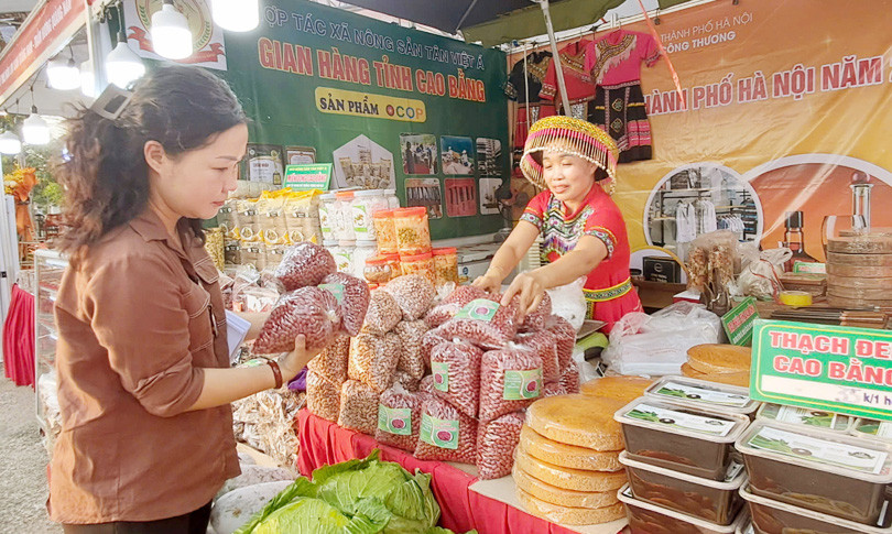 nguoi-tieu-dung-chon-mua-san-pham-tai-tuan-hang-viet-thanh-pho-ha-noi-nam-2024-to-chuc-tai-huyen-dan-phuong..jpg