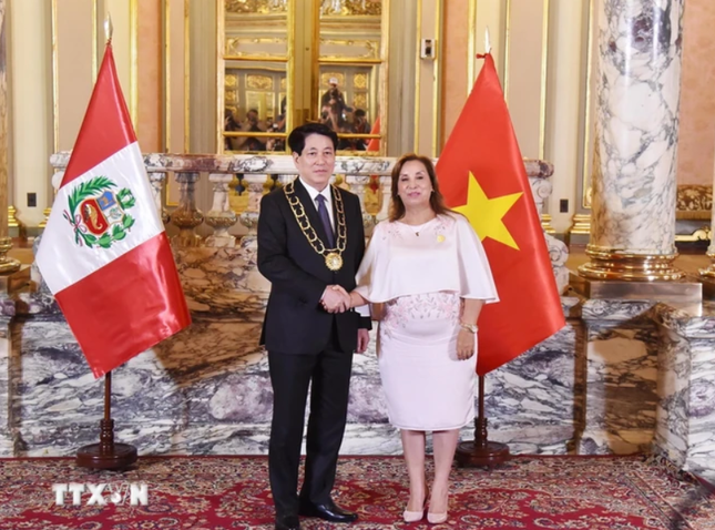 Lễ trao Huân chương ‘Mặt trời Peru’ cấp Đại Thập tự tặng Chủ tịch nước Lương Cường ảnh 5
