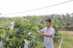 Bài 2: Những tỷ phú chân đất