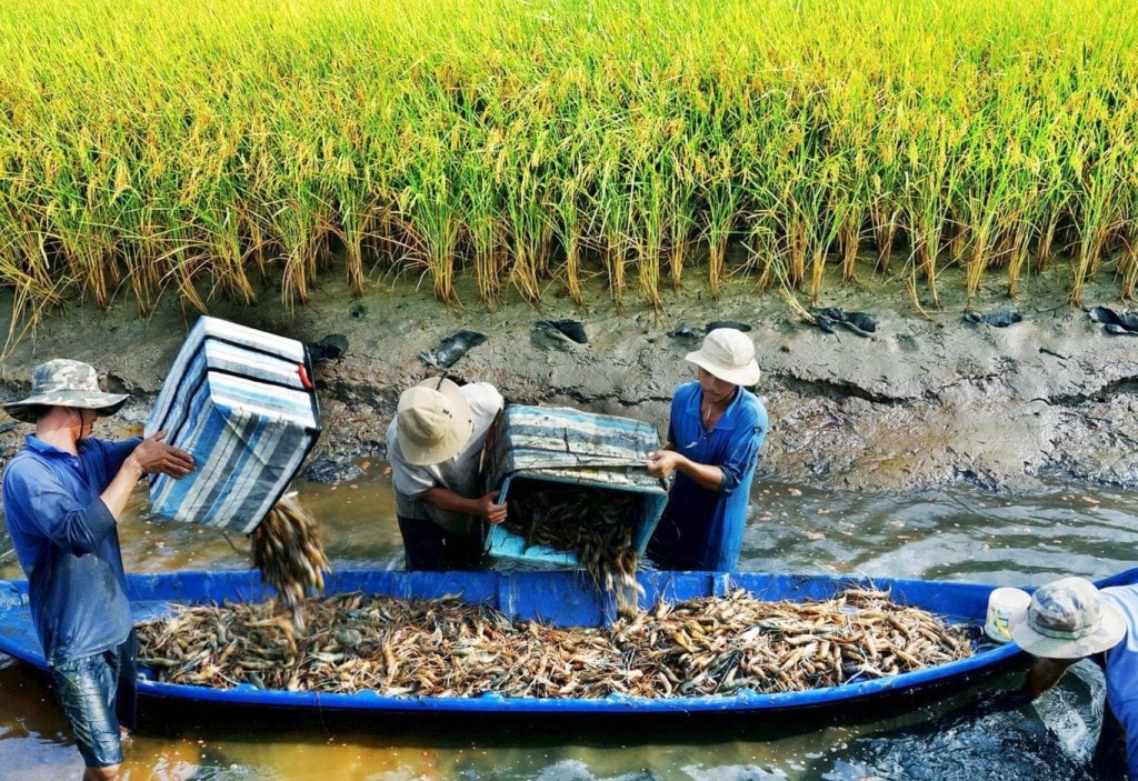 Ảnh minh họa Ảnh minh họa
