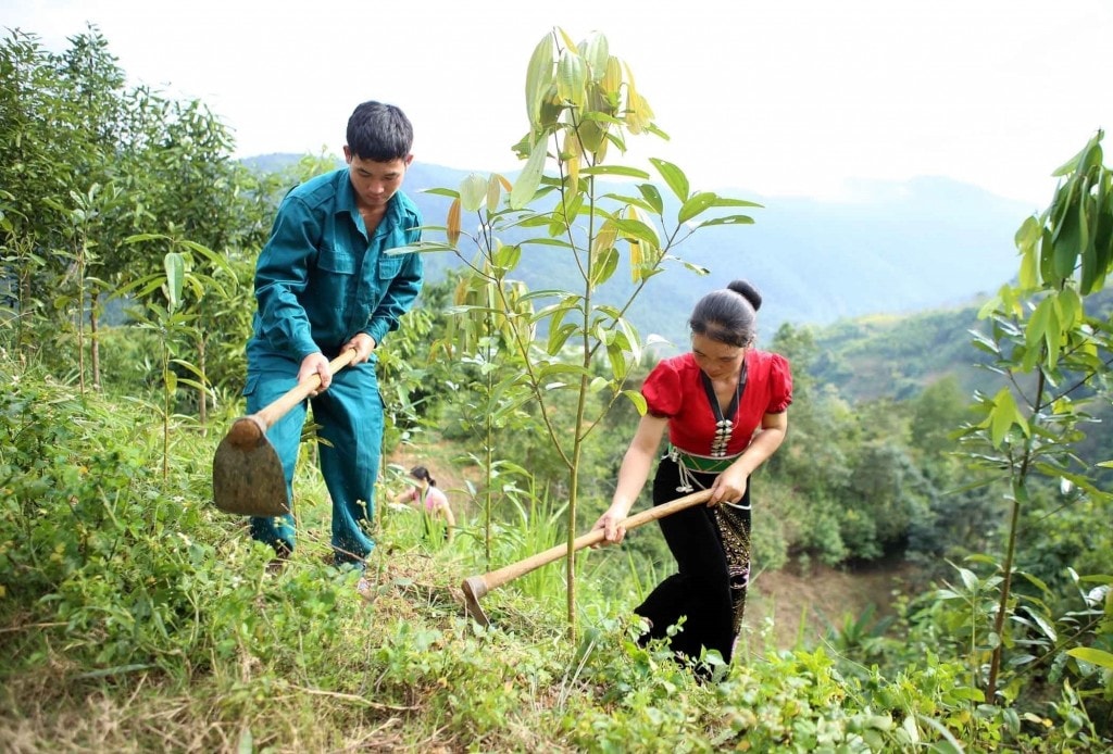 Ảnh minh họa Ảnh minh họa