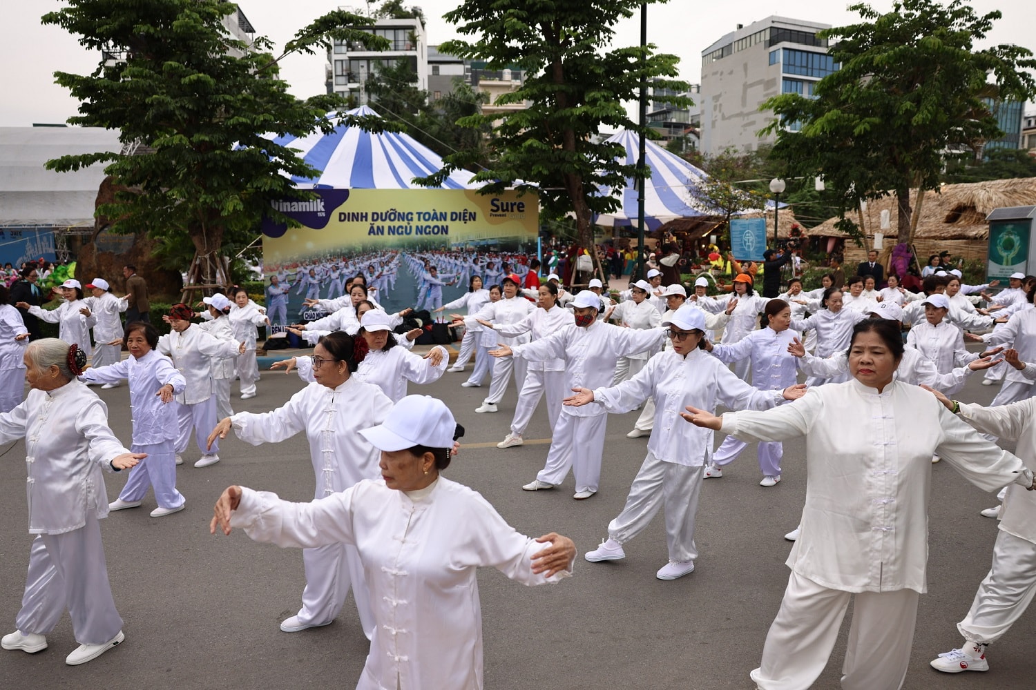 hang-tram-ngoi-cao-tuoi-thu-do-tham-gia-dong-dien.jpg