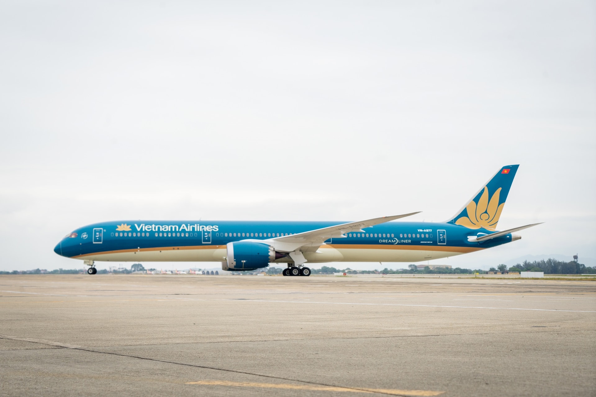 Máy bay Boeing 787 vừa gia nhập đội bay Vietnam Airlines ngay trước thềm cao điểm Tết Nguyên đán 2025. Ảnh: VNA.