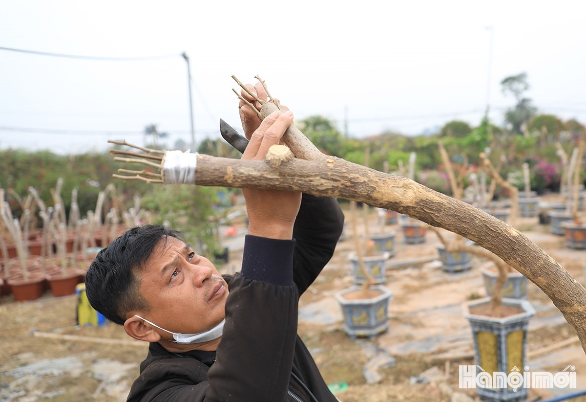 W_lang-hoa-giay-truyen-thong-ha-noi-nhung-ngay-cuoi-nam-11.jpg