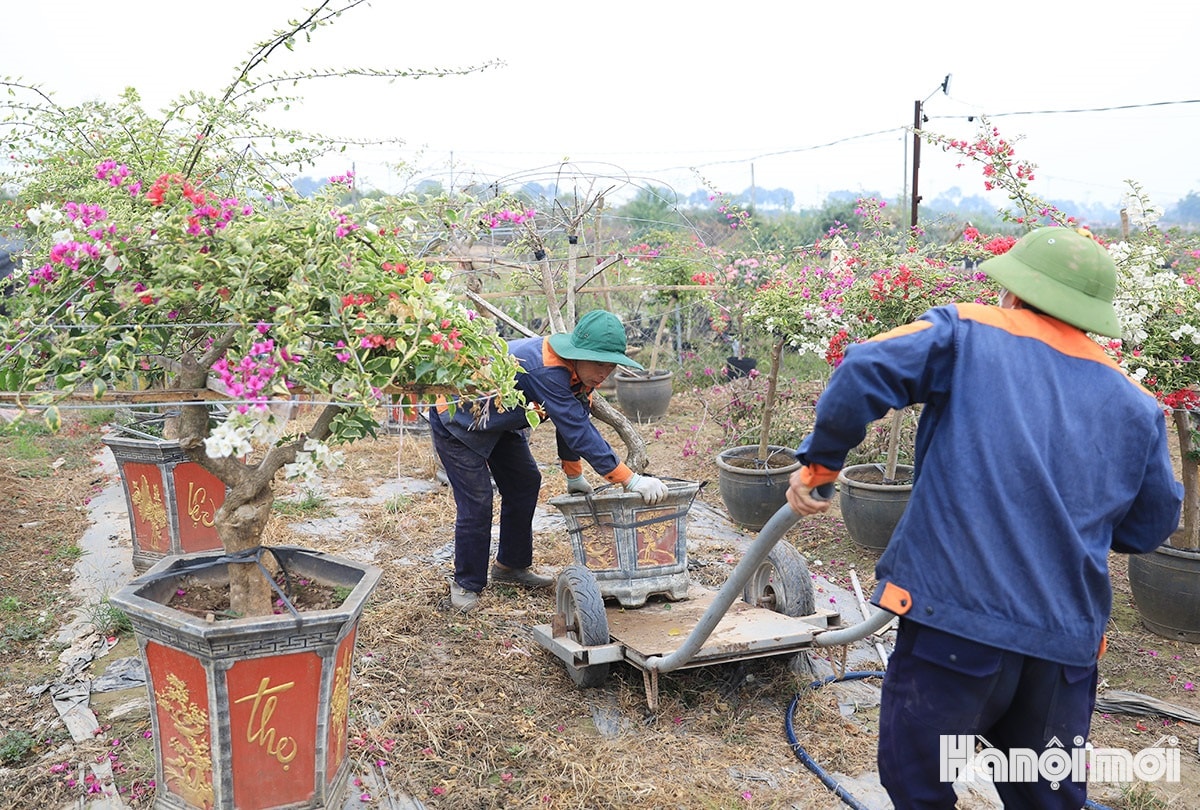 W_lang-hoa-giay-truyen-thong-ha-noi-nhung-ngay-cuoi-nam-7.jpg