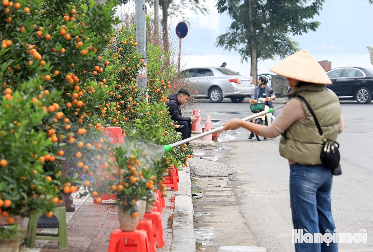 W_nguoi-dan-ruc-rich-xuong-pho-mua-dao-quat-13.jpg