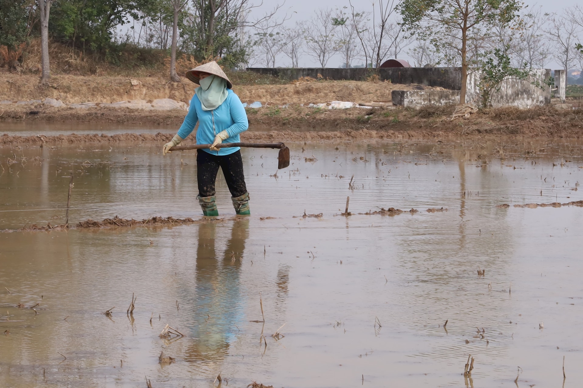 ha-noi-lay-nuoc-gieo-cay-vu-xuan-3.jpg