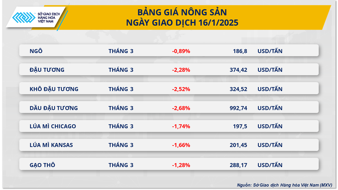 dau-tuong-17.1.png