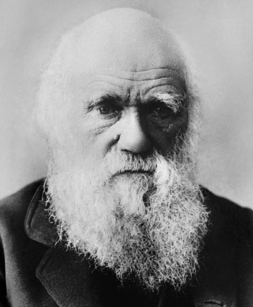 charles-darwin-author.jpg