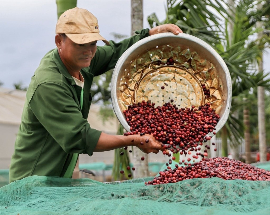 Đến với Si Farmstay du khách sẽ được hòa mình với thiên nhiên, đời sống nông dân địa phương