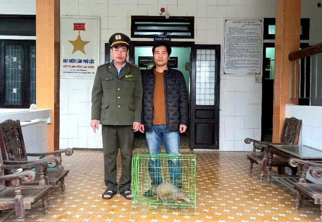 Theo Chi cục Kiểm lâm TP Huế từ 2022 đến đầu năm 2025 đã có hơn 230 cá thể động vật rừng được người dân và các đơn vị giao nộp tái thả về tự nhiên (Ảnh Kiểm lâm) 