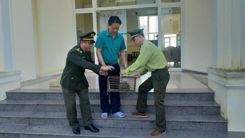 Ông Nguyễn Xuân Sự giao nộp cá thể tê tê Java cho lực lượng Kiểm lâm (Ảnh Kiểm lâm)