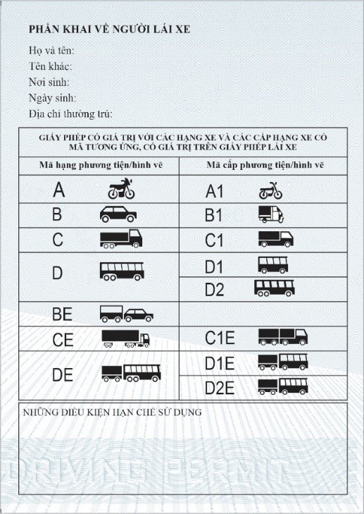 QUY ĐỊNH MẪU GIẤY PHÉP LÁI XE QUỐC TẾ- Ảnh 3.