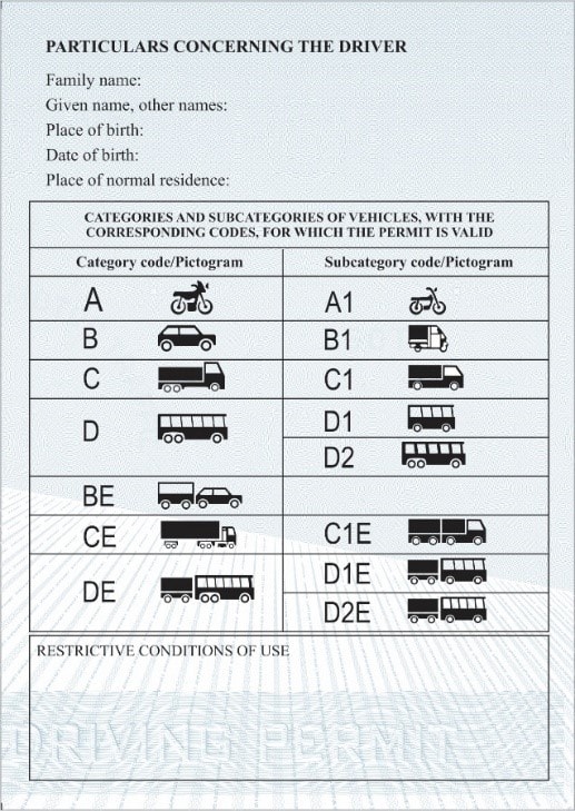 QUY ĐỊNH MẪU GIẤY PHÉP LÁI XE QUỐC TẾ- Ảnh 4.