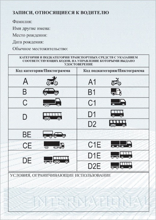 QUY ĐỊNH MẪU GIẤY PHÉP LÁI XE QUỐC TẾ- Ảnh 5.